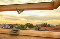 rated Cleadon roof window companies